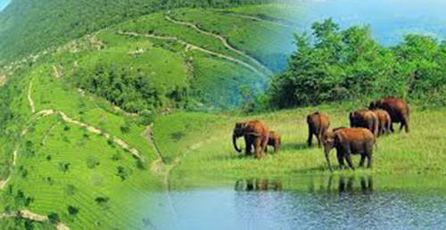 Madurai Rameswaram Kanyakumari Kovalam Trivandrum Alleppey Thekkady Munnar Cochin Tour Package